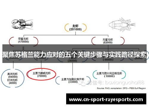 聚焦苏格兰能力应对的五个关键步骤与实践路径探索