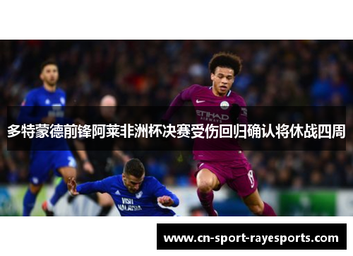 多特蒙德前锋阿莱非洲杯决赛受伤回归确认将休战四周 多特蒙德前锋阿莱非洲杯决赛受伤回归确认将休战四周